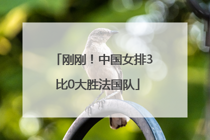 刚刚！中国女排3比0大胜法国队