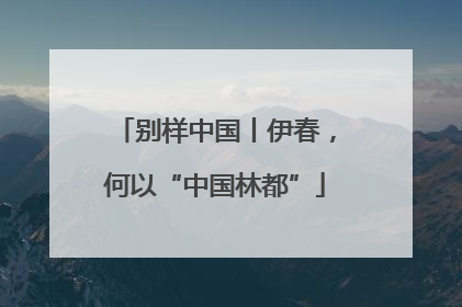 别样中国丨伊春，何以“中国林都”