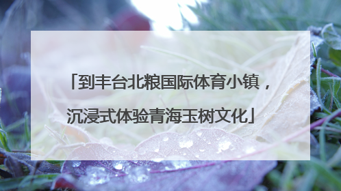 到丰台北粮国际体育小镇，沉浸式体验青海玉树文化