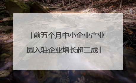 前五个月中小企业产业园入驻企业增长超三成