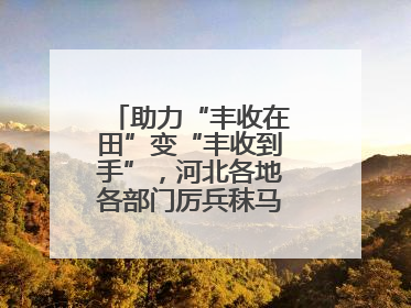 助力“丰收在田”变“丰收到手”，河北各地各部门厉兵秣马迎战“三夏”