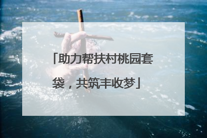 助力帮扶村桃园套袋，共筑丰收梦