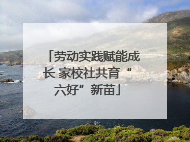 劳动实践赋能成长 家校社共育“六好”新苗