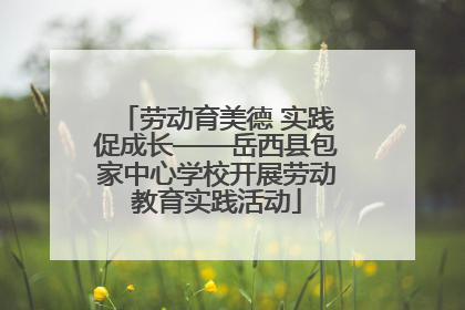 劳动育美德 实践促成长——岳西县包家中心学校开展劳动教育实践活动