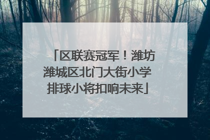 区联赛冠军！潍坊潍城区北门大街小学排球小将扣响未来