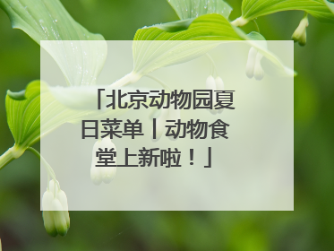 北京动物园夏日菜单丨动物食堂上新啦！