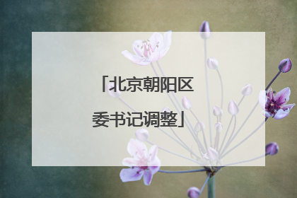北京朝阳区委书记调整