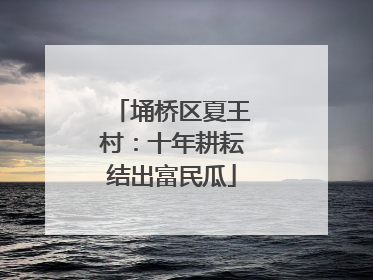 埇桥区夏王村：十年耕耘结出富民瓜