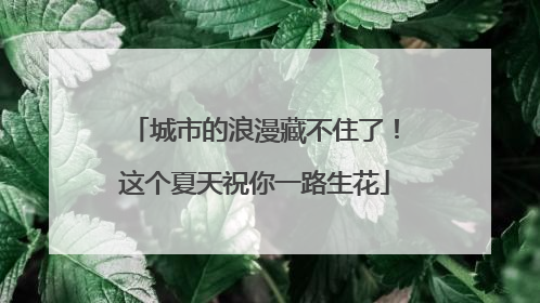 城市的浪漫藏不住了！这个夏天祝你一路生花
