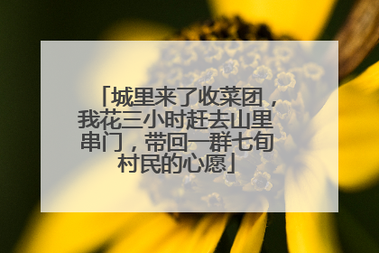 城里来了收菜团，我花三小时赶去山里串门，带回一群七旬村民的心愿