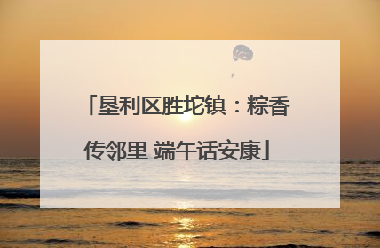 垦利区胜坨镇：粽香传邻里 端午话安康
