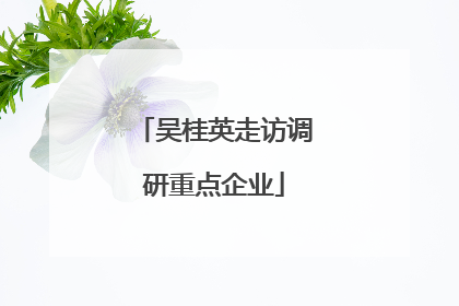 吴桂英走访调研重点企业