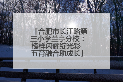 合肥市长江路第三小学兰亭分校：榜样闪耀绽光彩 五育融合助成长