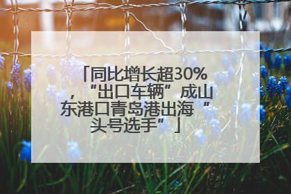 同比增长超30%，“出口车辆”成山东港口青岛港出海“头号选手”