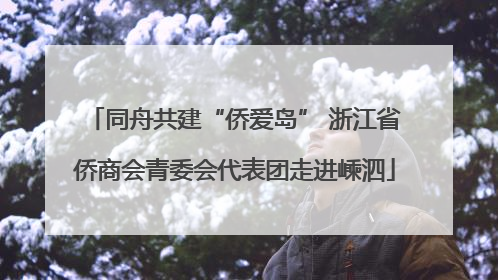 同舟共建“侨爱岛” 浙江省侨商会青委会代表团走进嵊泗
