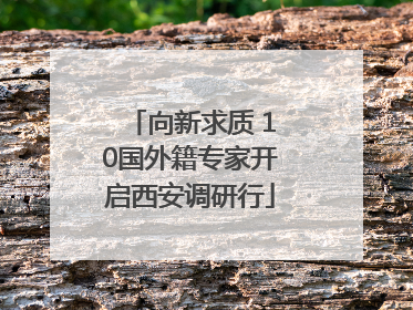 向新求质 10国外籍专家开启西安调研行