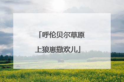 呼伦贝尔草原上狼崽撒欢儿