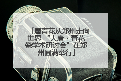 唐青花从郑州走向世界 “大唐・青花瓷学术研讨会”在郑州圆满举行