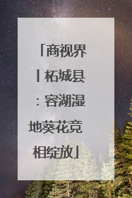 商视界丨柘城县：容湖湿地葵花竞相绽放