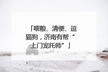 喂粮、清便、逗猫狗，济南有帮“上门宠托师”