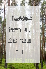 嘉兴海盐智造军团，全省“出圈”