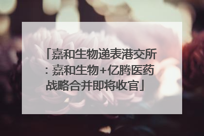 嘉和生物递表港交所：嘉和生物+亿腾医药战略合并即将收官