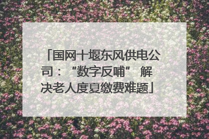 国网十堰东风供电公司：“数字反哺” 解决老人度夏缴费难题