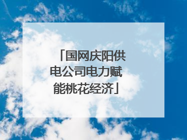 国网庆阳供电公司电力赋能桃花经济