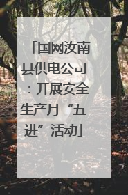 国网汝南县供电公司：开展安全生产月“五进”活动
