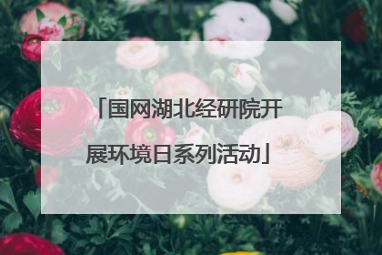 国网湖北经研院开展环境日系列活动