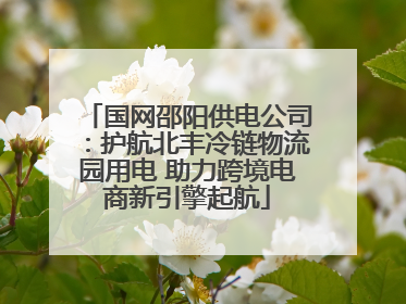 国网邵阳供电公司：护航北丰冷链物流园用电 助力跨境电商新引擎起航
