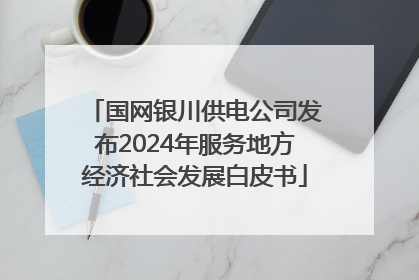 国网银川供电公司发布2024年服务地方经济社会发展白皮书