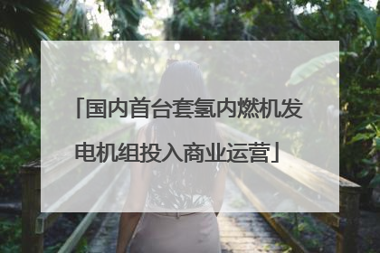 国内首台套氢内燃机发电机组投入商业运营
