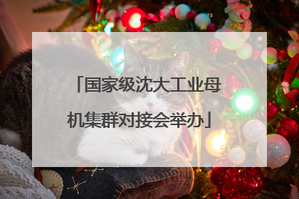 国家级沈大工业母机集群对接会举办