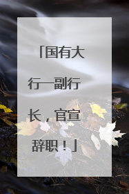 国有大行一副行长，官宣辞职！