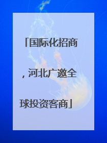 国际化招商，河北广邀全球投资客商