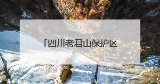 四川老君山保护区附近发现国家一级保护动物小灵猫 被称为“生态试纸”