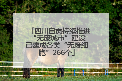 四川自贡持续推进“无废城市”建设 已建成各类“无废细胞”266个