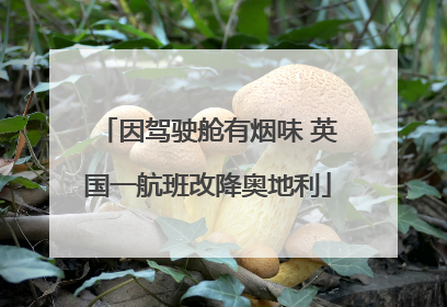 因驾驶舱有烟味 英国一航班改降奥地利