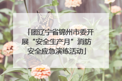 团辽宁省锦州市委开展“安全生产月”消防安全应急演练活动
