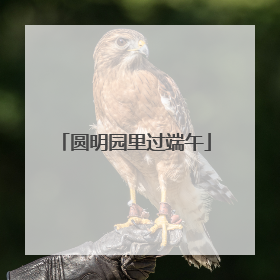 圆明园里过端午