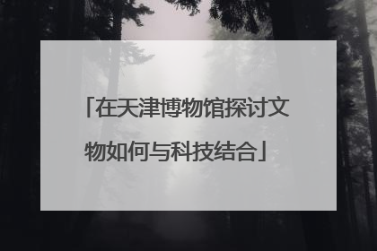 在天津博物馆探讨文物如何与科技结合