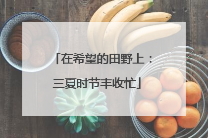 在希望的田野上：三夏时节丰收忙