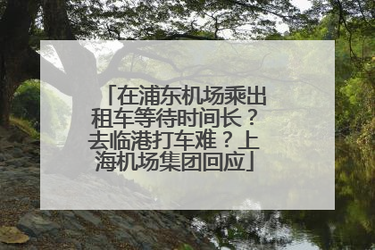 在浦东机场乘出租车等待时间长？去临港打车难？上海机场集团回应