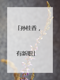 孙桂香，有新职
