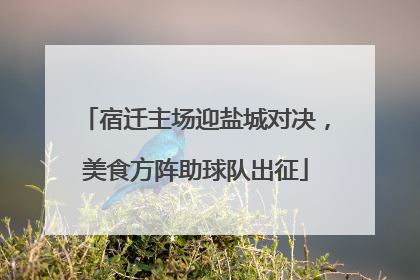 宿迁主场迎盐城对决，美食方阵助球队出征
