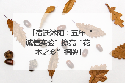 宿迁沭阳：五年“诚信实验”擦亮“花木之乡”招牌