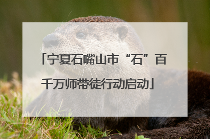宁夏石嘴山市“石”百千万师带徒行动启动