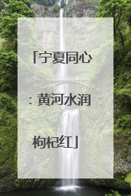 宁夏同心：黄河水润枸杞红