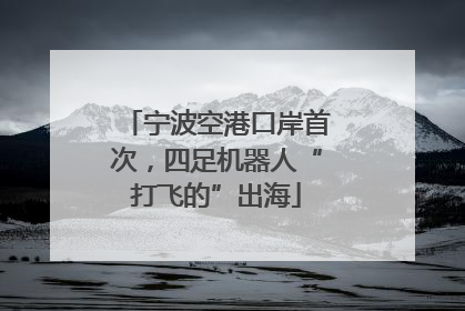 宁波空港口岸首次，四足机器人“打飞的”出海